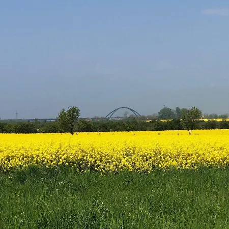 Strandpark-grossenbrode-haus-meerblick-wohnung-16 דירה *